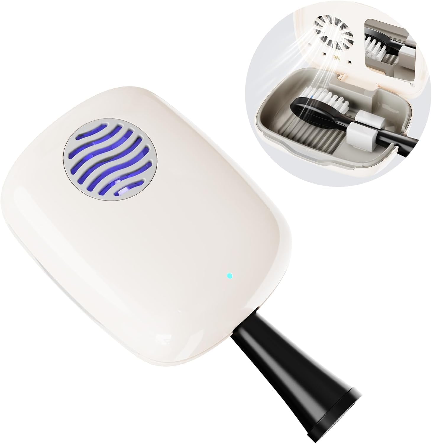 Toothbrushes & Accessories