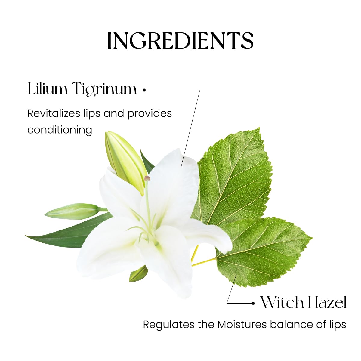 Peripera Ink Mood Glowy Tint | Lip-Plumping, Naturally Moisturizing, Lightweight, Glow-Boosting, Long-Lasting, Comfortable, Non-Sticky, Mask Friendly, No White Film (026 WHY SO BERRY (SODA CAFE))