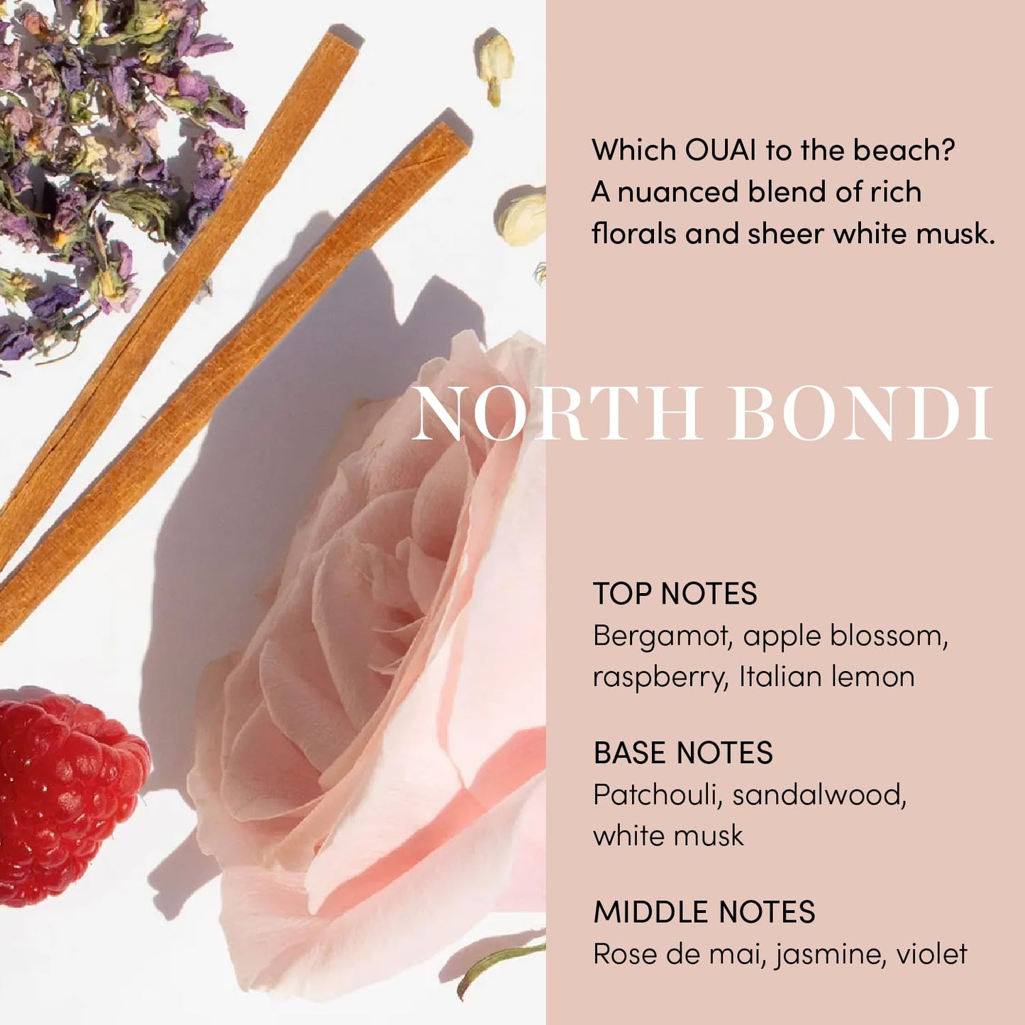 OUAI Air Dry Foam - Hair Mousse for Curly Hair & Beach Waves - Conditioning & Detangling With Kale and Carrot Extract - Paraben, Phthalate and Sulfate Free (4 Oz)