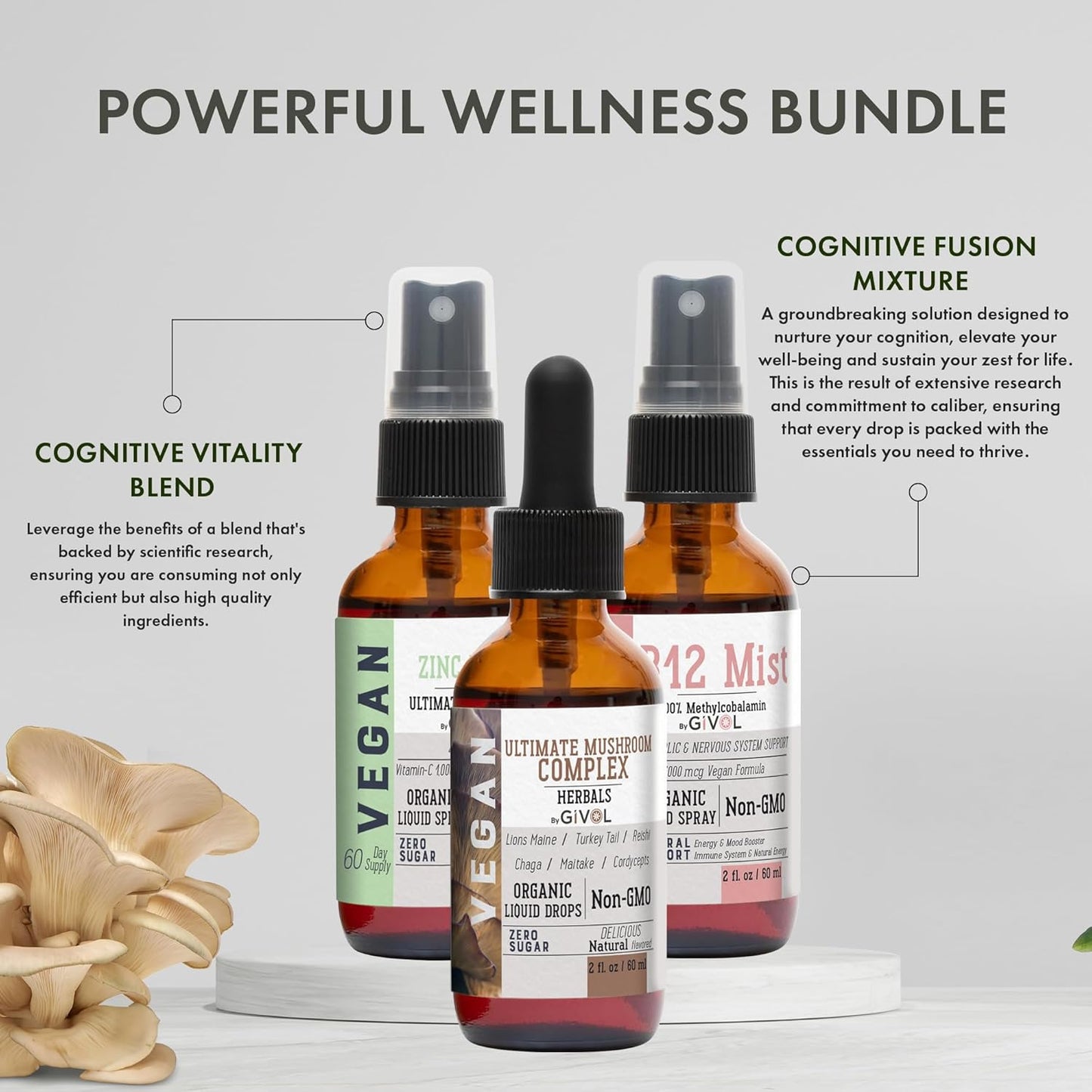 Cognitive Wellness Bundle Liquid Vitamin Trio: Methylcobalamin B12, Lions Mane, Reishi, Chaga Mushroom Complex & Zinc Picolinate: Gluten-Free, Sugar-Free, Non-GMO - 360 Days Supply