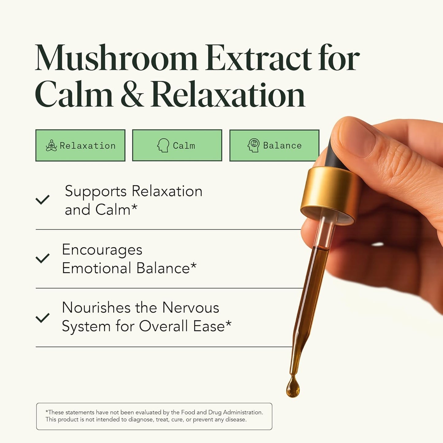 Reishi Mushroom Extract Drops Fantastic Fungi Chill Elixir, 4-in-1 Mood Support Supplement w/ Holy Basil & Shiitake Mushrooms for Relaxation & Calm | 100% Organic & Natural | 30 Servings, 1 fl oz