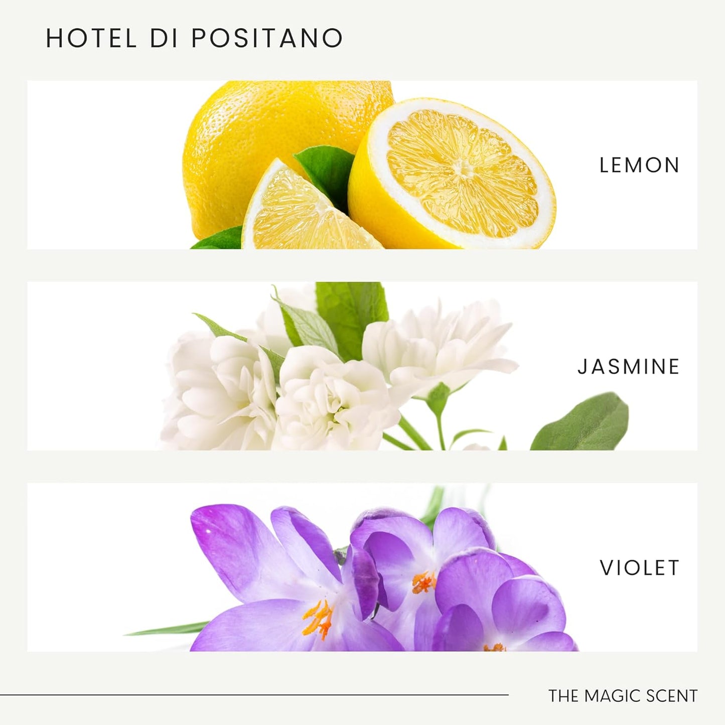 Hotel Di Positano Diffuser Oil Scents - Cold-Air & Ultrasonic Fragrance Oil for Diffuser - Inspired by Amalfi Coast, Italy - Essential Oils for Diffusers - 8.5 fl oz, 250 mL
