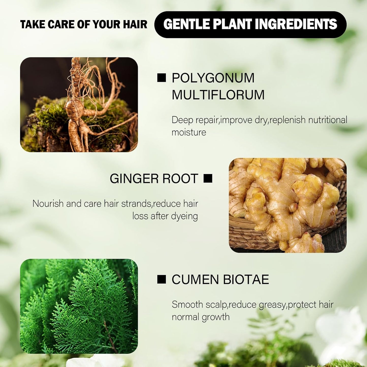 Purple Hair Dye for Women, Semi Permanent Hair Dye Shampoo for Gray hair Coverage 4 in 1 Natural Ingredients with Comb, Convenient to Use Hair Color Shampoo (Purple)