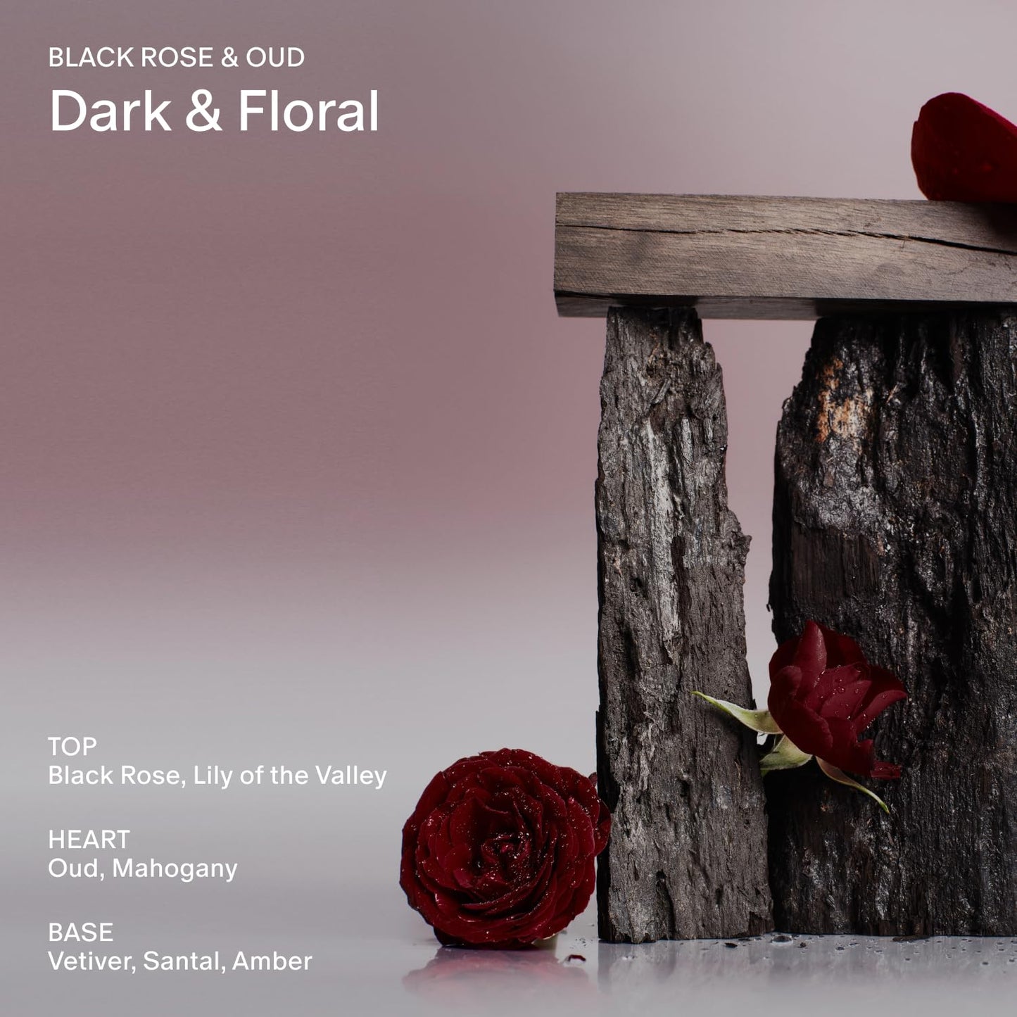 Salt & Stone Body Lotion for Women & Men | Hydrates, Nourishes & Softens Skin | Restores Dry Skin | Fast-Absorbing | Cruelty-Free & Vegan (100 ml) (Black Rose & Oud)