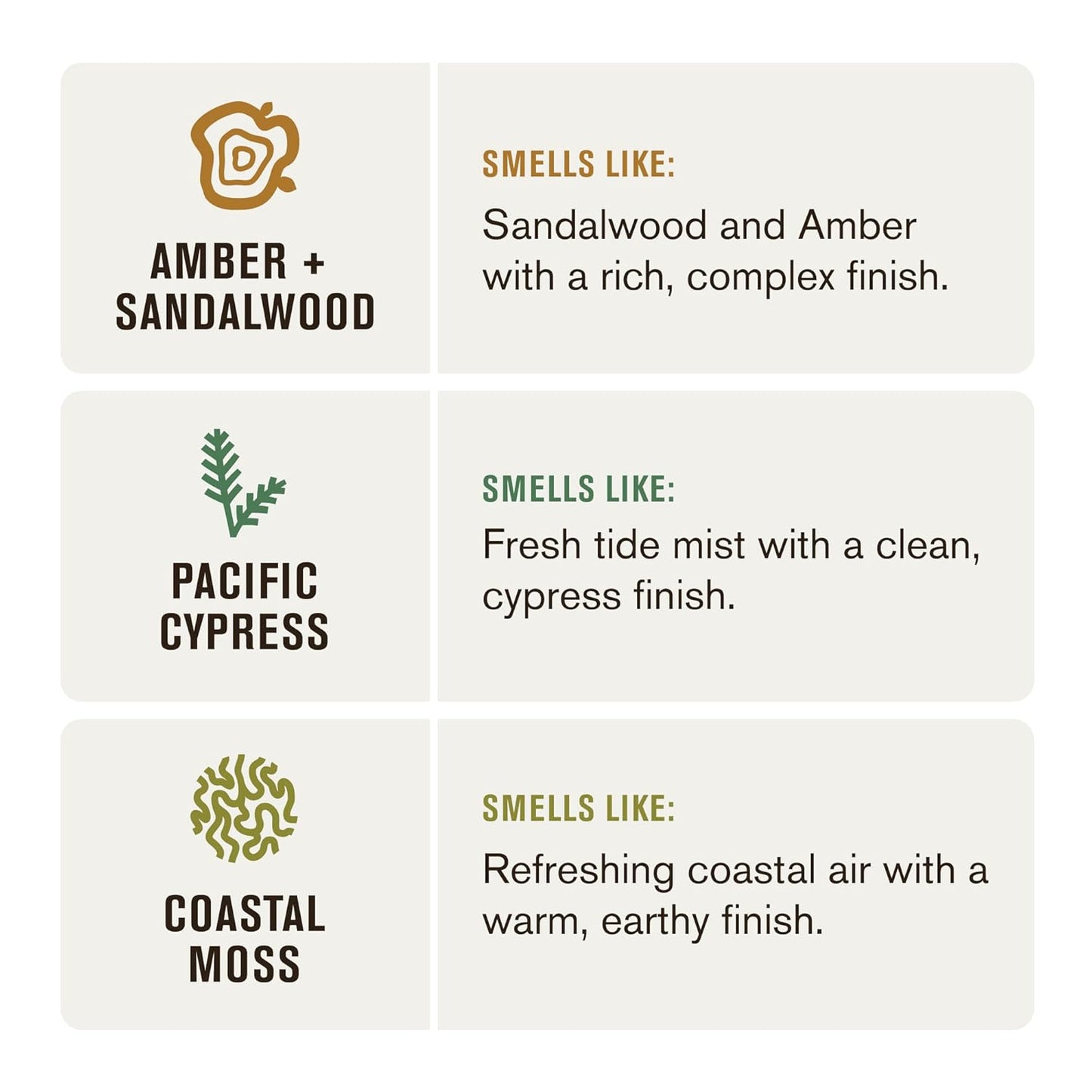 Every Man Jack Hydrating Mens Body Wash - Cleanse, Nourish, and Hydrate Skin with Naturally Derived Ingredients - Paraben Free - Amber + Sandalwood, Pacific Cypress and Coastal Moss - 3pk