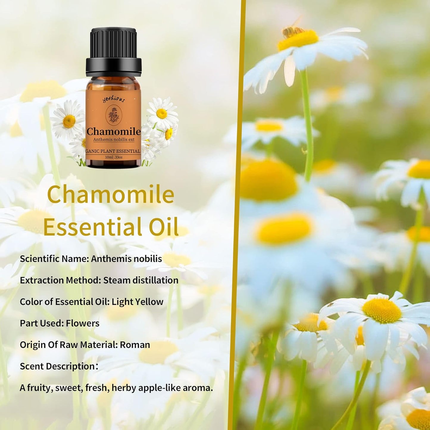 Yethious Chamomile Sandalwood Vetiver Essential Oil Set Organic 100% Pure Aromatherapy Oils for Diffuser