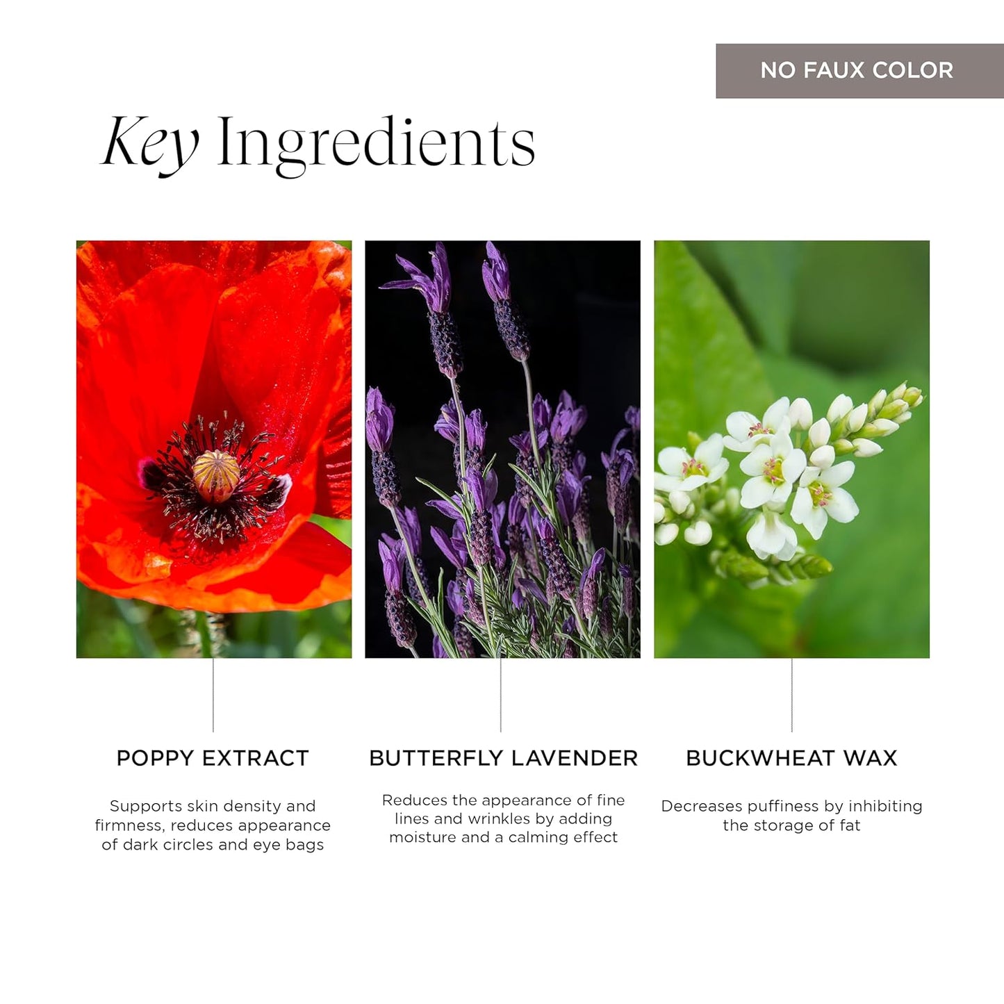 Intelligent Nutrients Liquid Green Revival Eye Whip, Nourishing Eye Cream for Dark Circles and Puffiness, 0.5 Oz