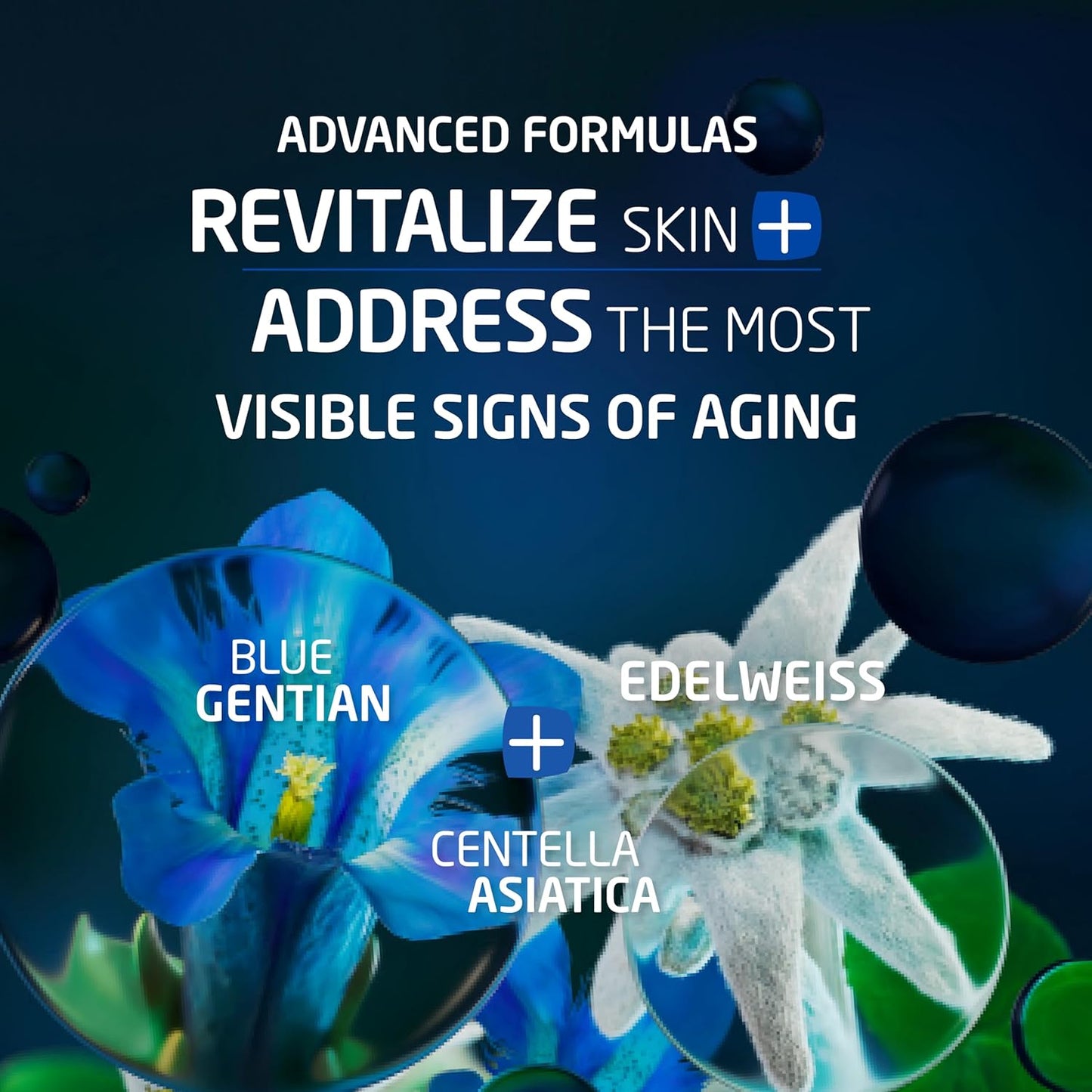 Weleda Face Care Rejuvenating Night Cream, Plant Rich Moisturizer with Blue Gentian and Edelweiss