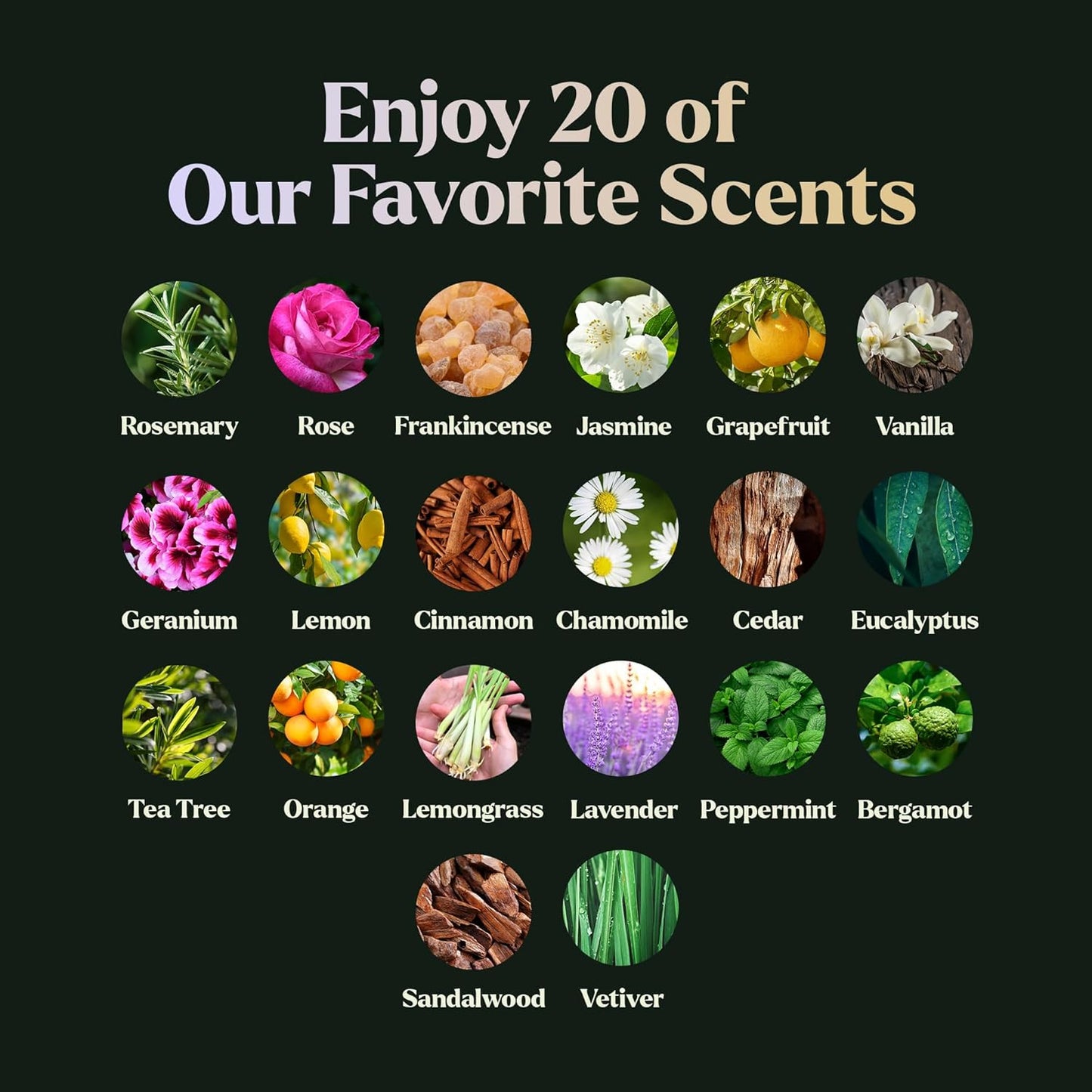 Lagunamoon Essential Oils Set, Top 20 Gift Set Oils for Diffusers, Humidifiers, Aromatherapy, Candle Making Scents, Cars & Home Products, Peppermint, Tea Tree, Lavender, Eucalyptus, Lemongrass (10mL)