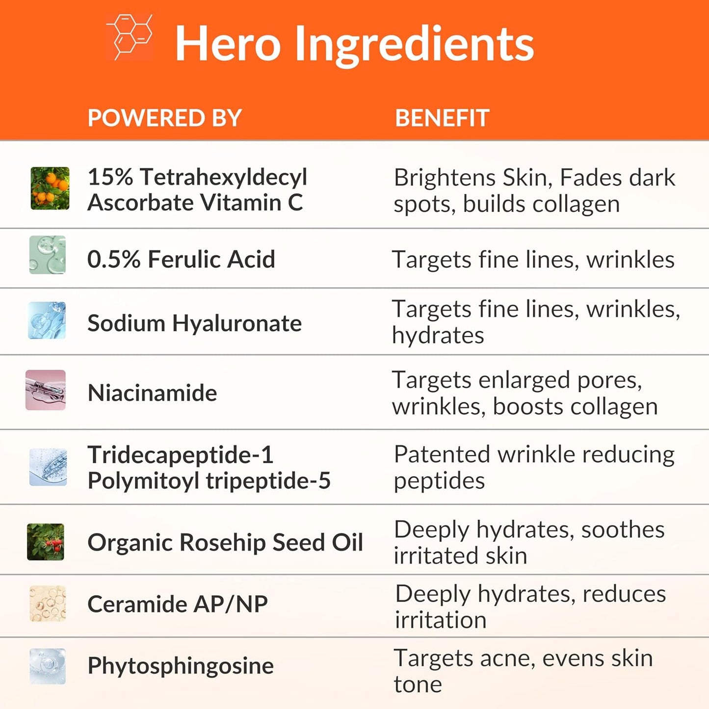 LeVaye Vitamin C Serum, Anti-Aging Face Serum – 15% Vitamin C, Ferulic Acid, Niacinamide, Hyaluronic Acid, Peptides, Ceramides – Targets Wrinkles, Fine Lines, Dark Spots, Enlarged Pores, Dry Skin