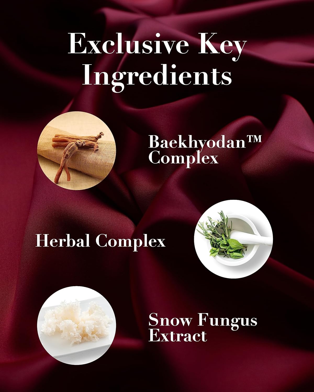 Sooryehan Hyobidam Face Moisturizer for Women. Korean Skin Care (Cream, 1.7fl oz) - Korean Facial Care. Wrinkle Cream for Women, Night Cream for Face with Wild Ginseng & Snow Fungus.