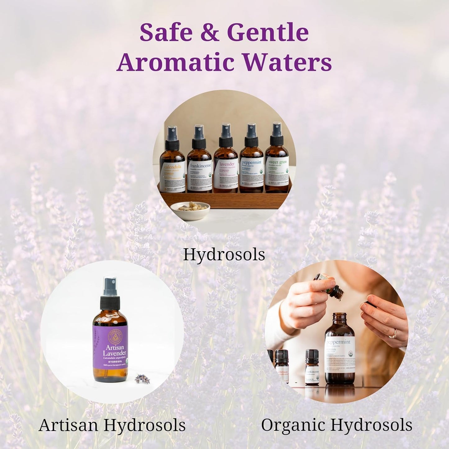 Aromatics International Catnip Hydrosol 100ml | Herbal Aromatic Mist for Daily Use