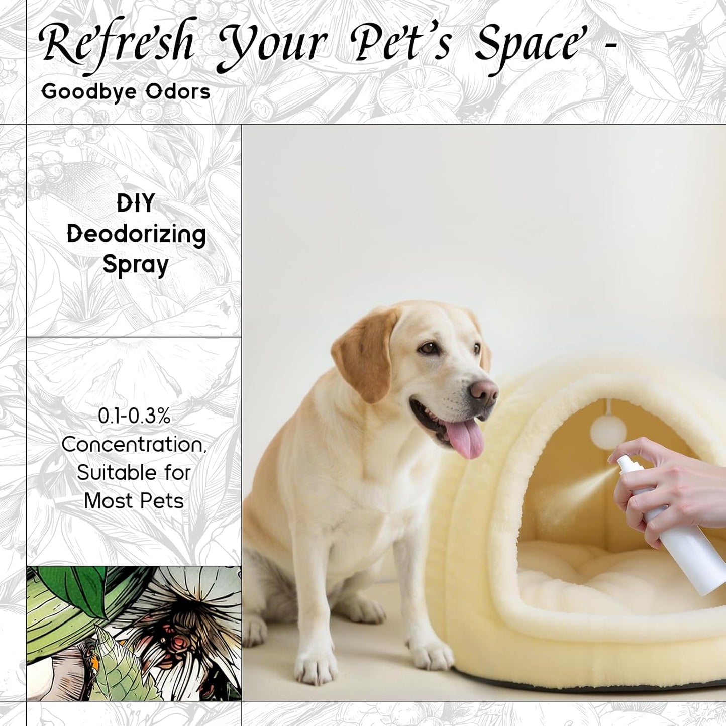 HIQILI Aqueous Bloom Fragrance Oil for Diffusers, Black Currant Leaf‌ & Jasmine, Candles & Soap Making, Long-Lasting Scent - 5.07 Fl Oz