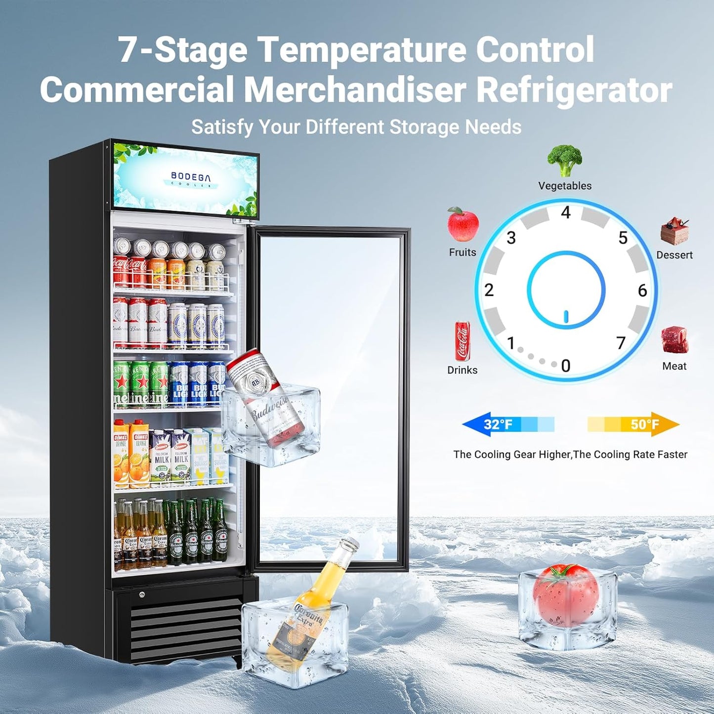BODEGACOOLER Commercial Refrigerators with 4 shelves, 240 cans &160 bottles Beverage, 11.3 Cu. Ft. Commercial Merchandiser Refrigerators with Soft LED Light,For Garage, Gym, Man cave, Shop, Office.