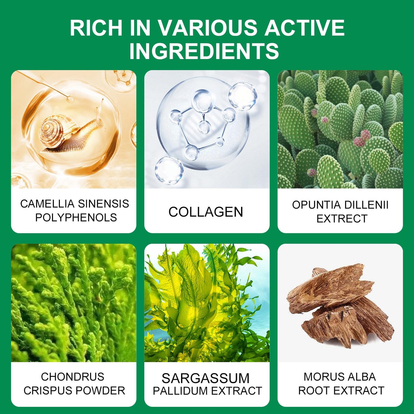 ROUSE Green Algae Under Eye Patches Collagen Eye Mask with Seaweed for Under Eye Bags Dark Circles Natural Eye Gel Pads for Puffy Eyes Moisturizing Repairing-60pcs