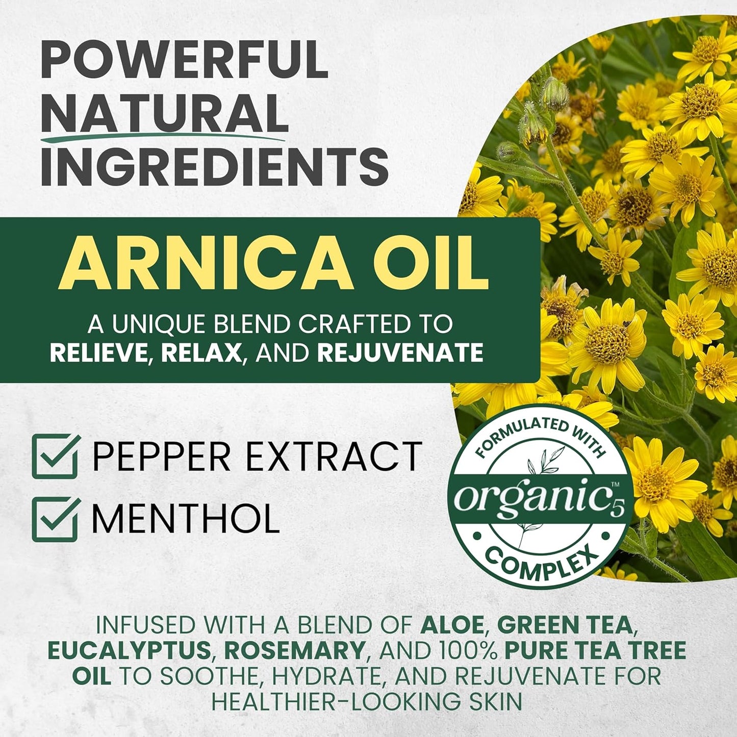 Sore Muscle Massage Oil for Massage Therapy with Arnica, Eucalyptus & Tea Tree Oil Blend for Deep Muscle Relief, Recovery, Softens Skin & Anti-Cellulite Massage for Professional & Home Use.